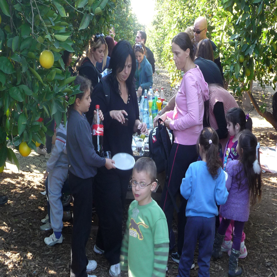 תמונה ראשונה
