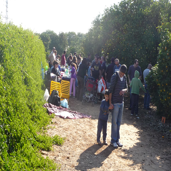 תמונה שנייה