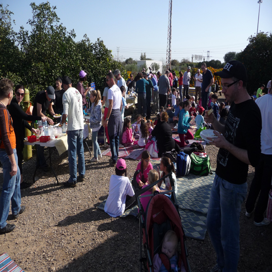 תמונה שלישית