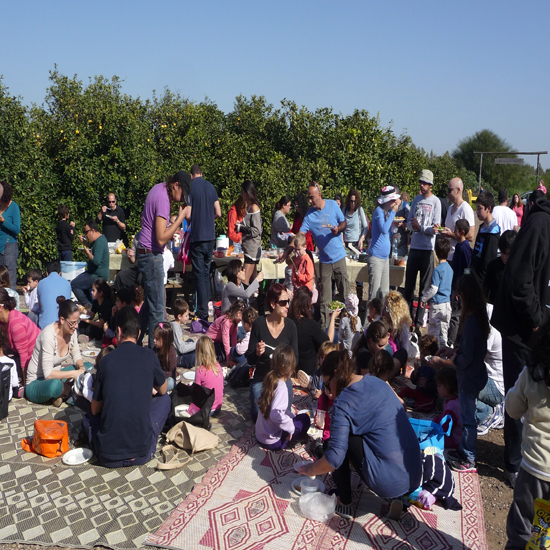 תמונה רביעית