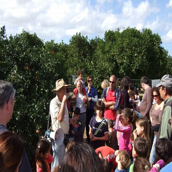 תמונה שביעית