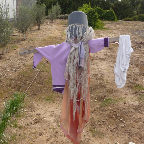 תמונה שמינית