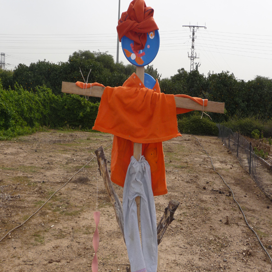 תמונה תשיעית