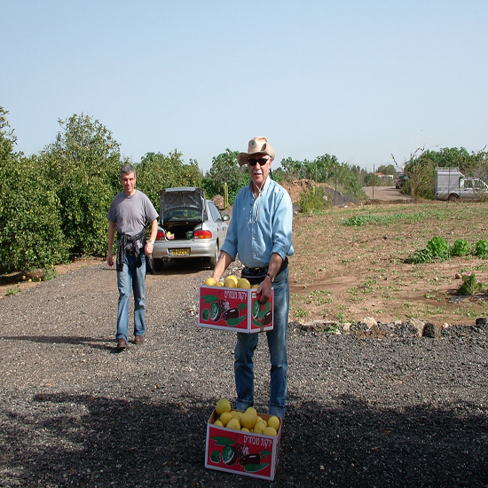 תמונה שנייה