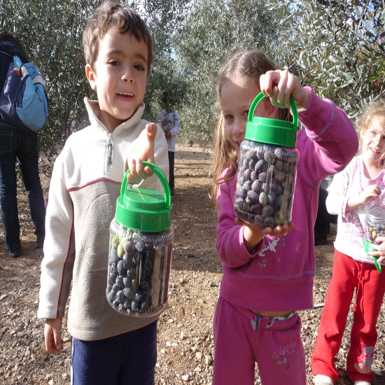 תמונה שלישית