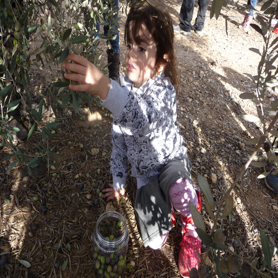 תמונה רביעית