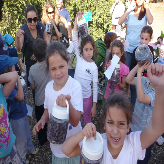 תמונה חמישית