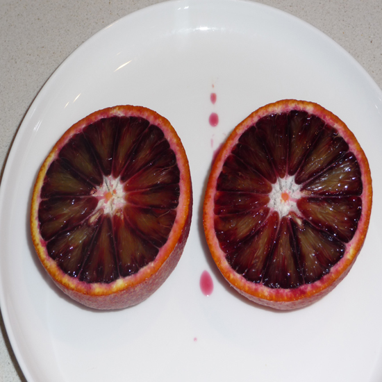 תמונה חמישית