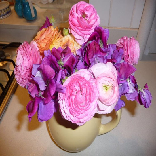 תמונה שנים עשר