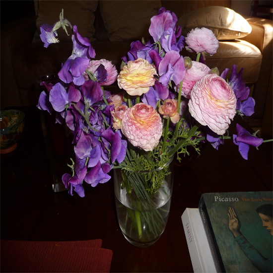 תמונה שלושה עשר