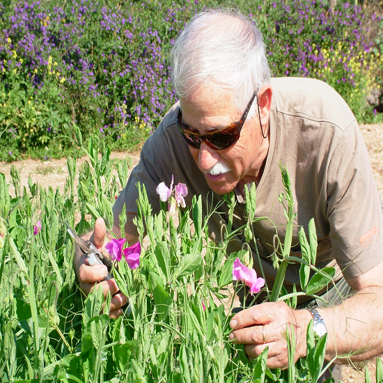 תמונה שנייה