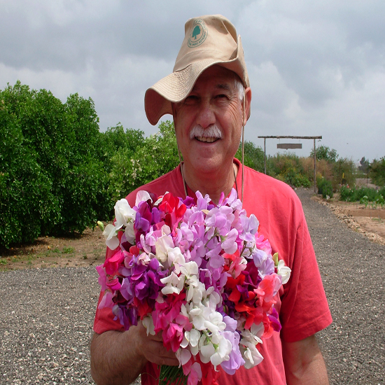 תמונה שלישית