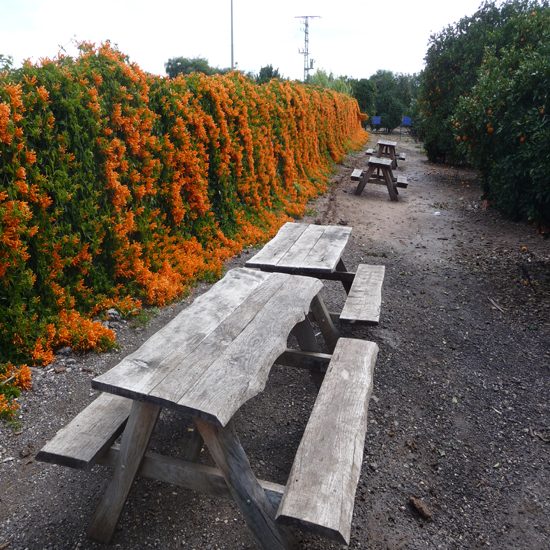 תמונה שישית