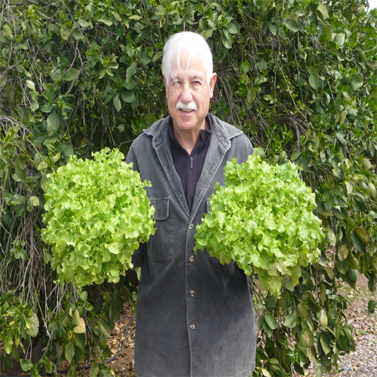 תמונה שנייה