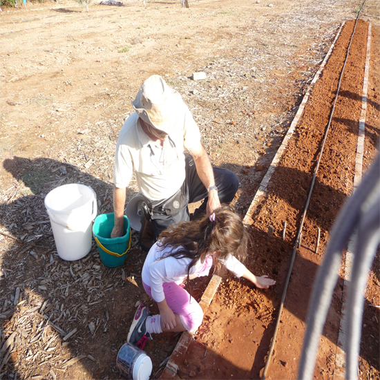 תמונה חמישית