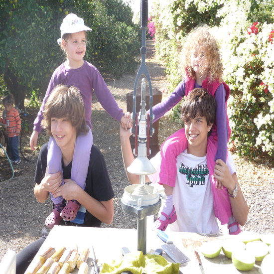 תמונה ראשונה