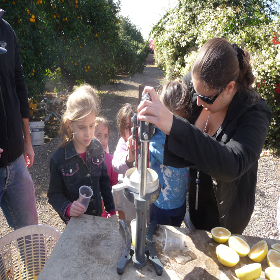 תמונה שנייה