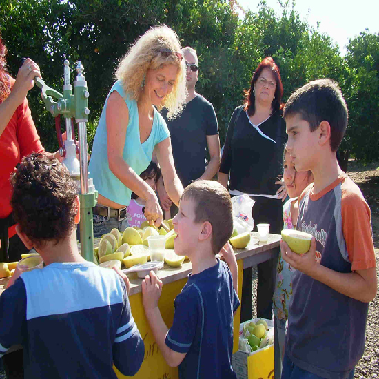 תמונה שלישית