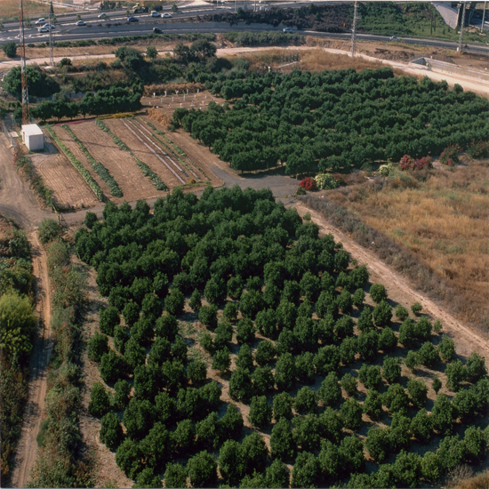 תמונה ראשונה