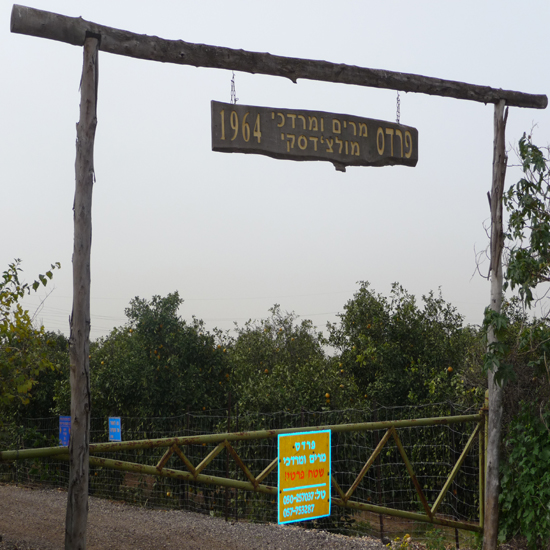 תמונה שנייה