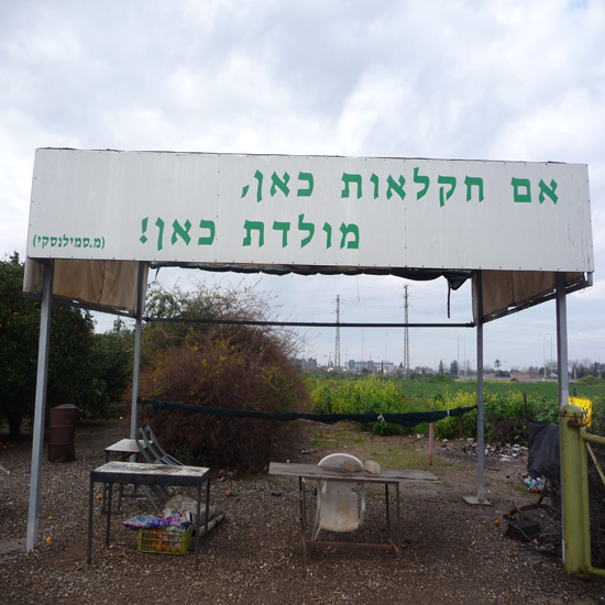 תמונה שלישית