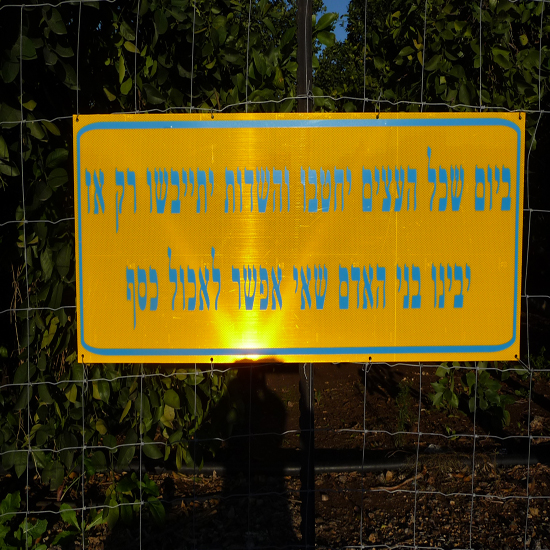 תמונה חמישית