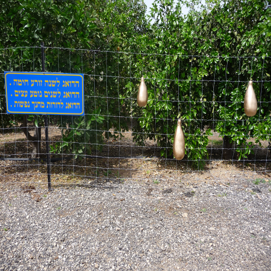 תמונה שביעית