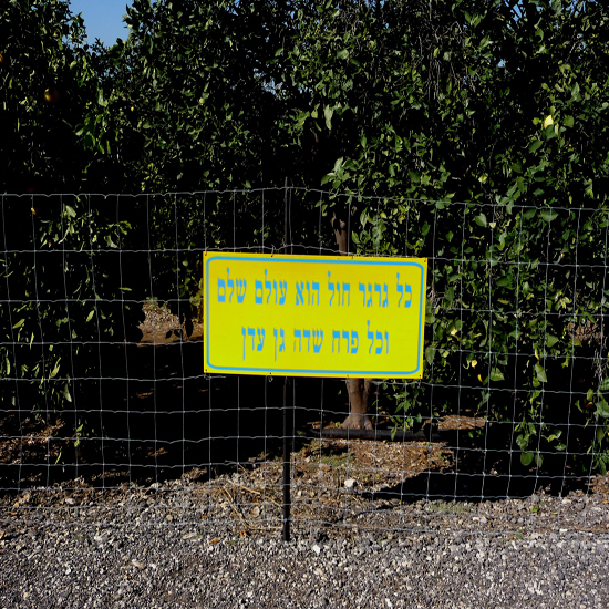 תמונה תשיעית